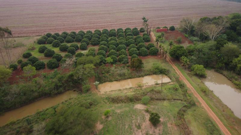 Chacara  - São Jorge do Ivai - PR  R$ 2.000.000,00