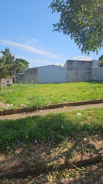 Terreno  Parque Taruma - Zona 25 ** R$ 320.000,00