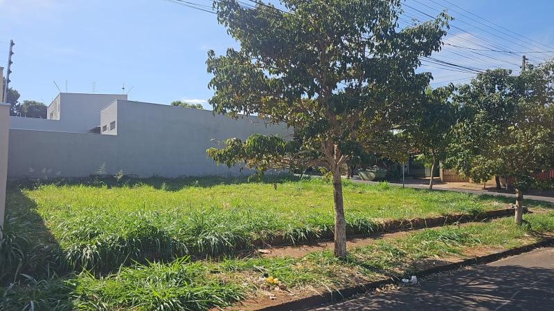 Terreno  Parque Taruma - Zona 25 ** R$ 320.000,00