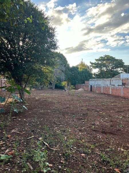 Terreno  Vila  Morangueira    -  Maringá     R$ 450.000,00